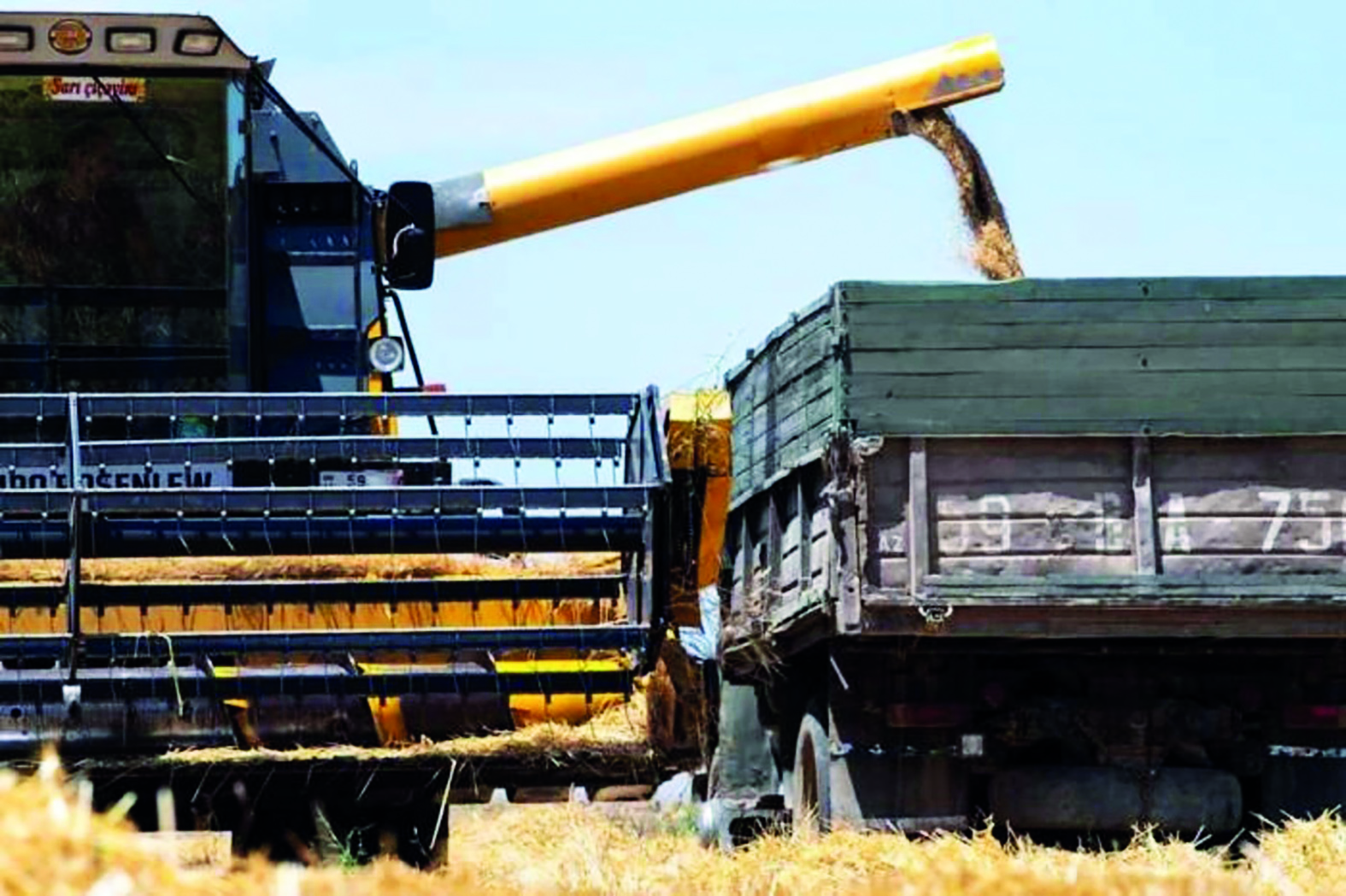 Горючее с привкусом