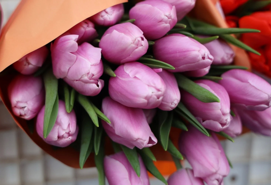 Кыргызстан экспортировал 17 тонн цветов с начала года