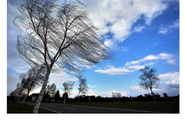 Объявлено желтое предупреждение о ветреной погоде