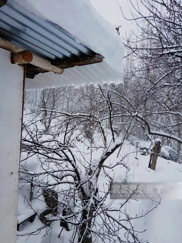В Нахчыване высота снежного покрова достигла полуметра