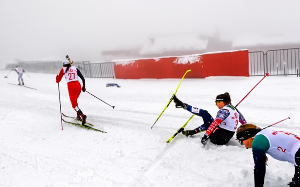 На чемпионате России собака сбила лыжницу во время марафона