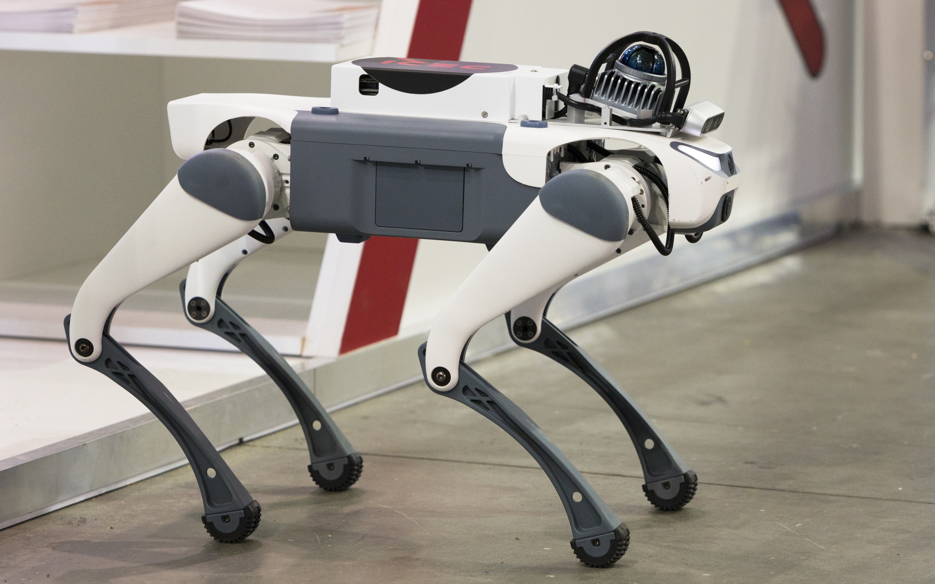 В Сербии к осени наладят производство гуманоидных роботов и роботов-собак