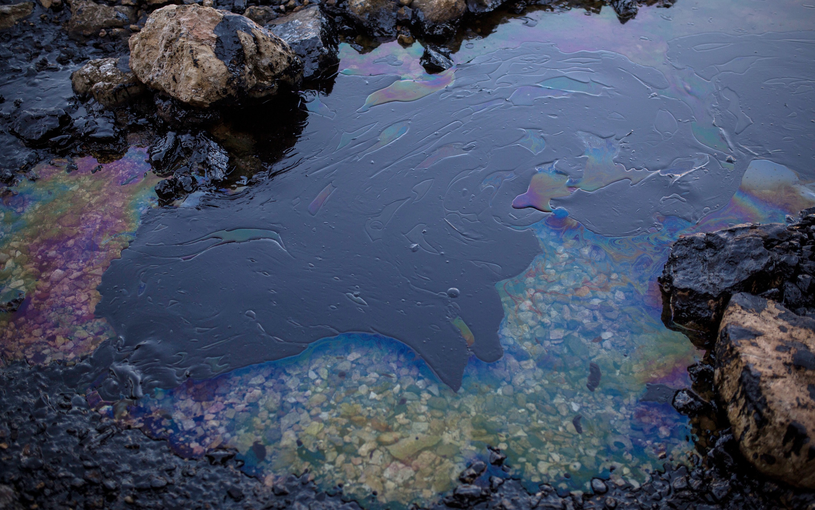 На пляже на Шри-Ланке зафиксирован выброс мазута