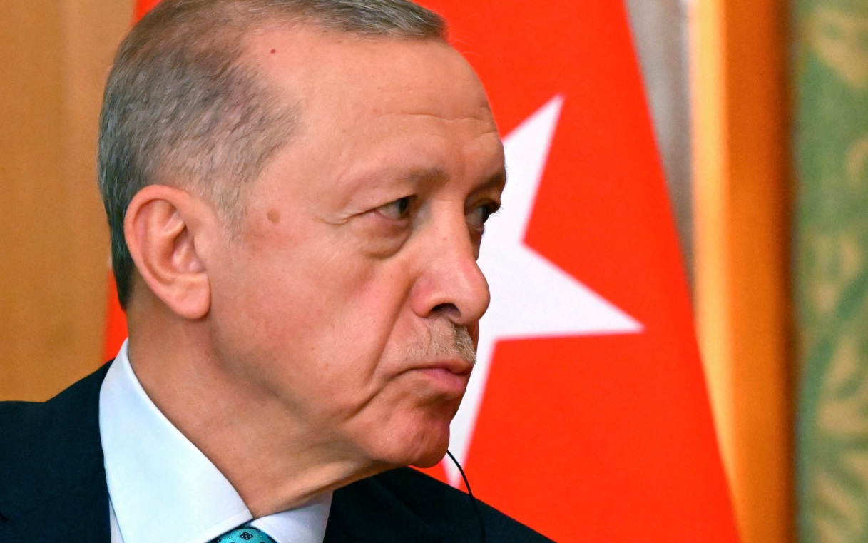 В Турции начали расследование против певицы Ханде Йенер за оскорбление Эрдогана