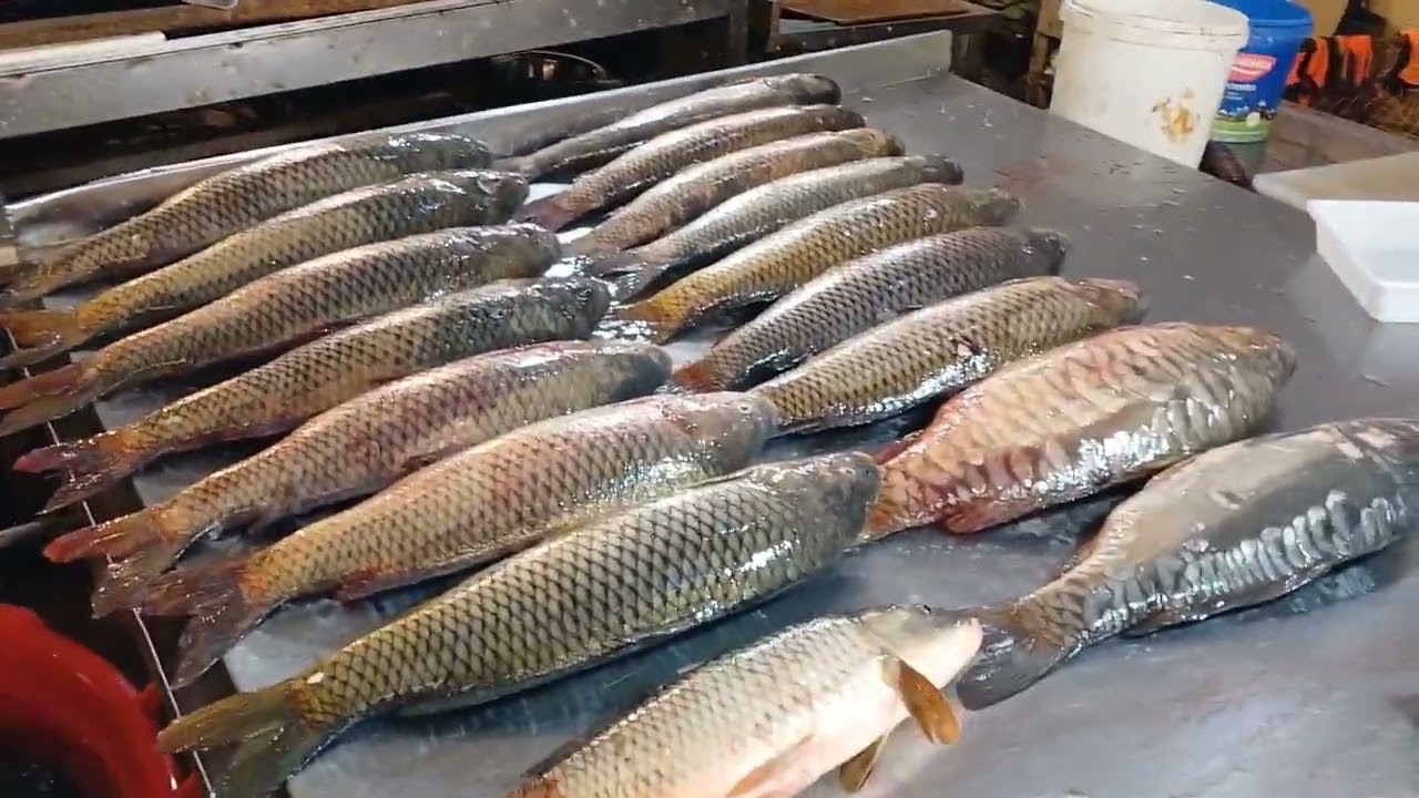 Рыбный дефицит