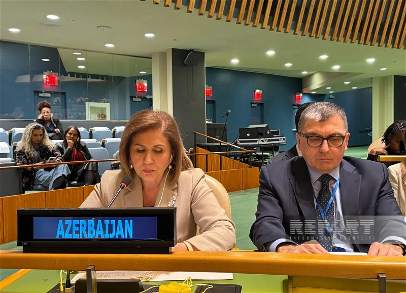 Бахар Мурадова выступила в ООН от имени ОТГ