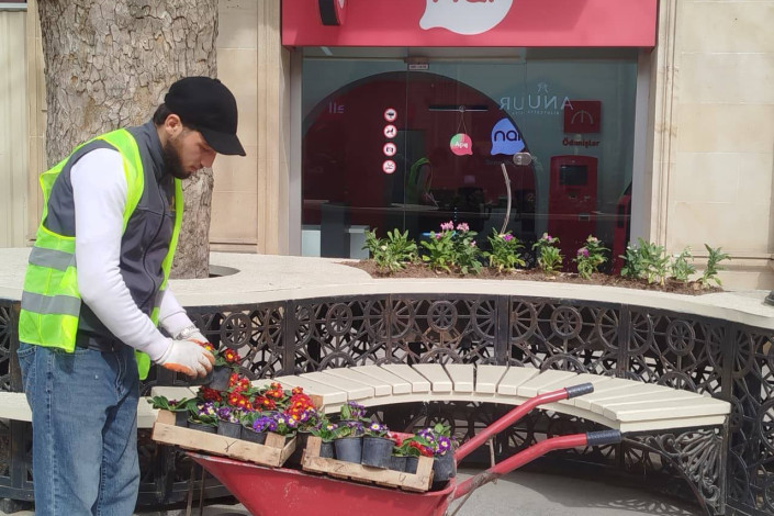 Гянджа в объятиях весны