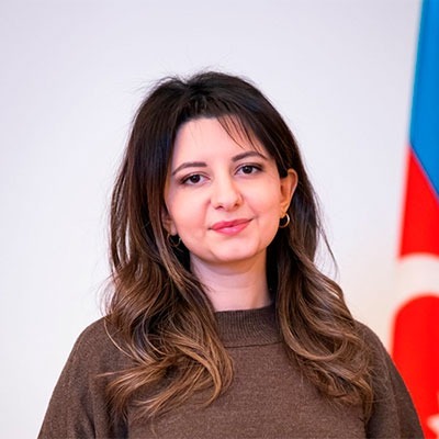 Механизм политической страховки