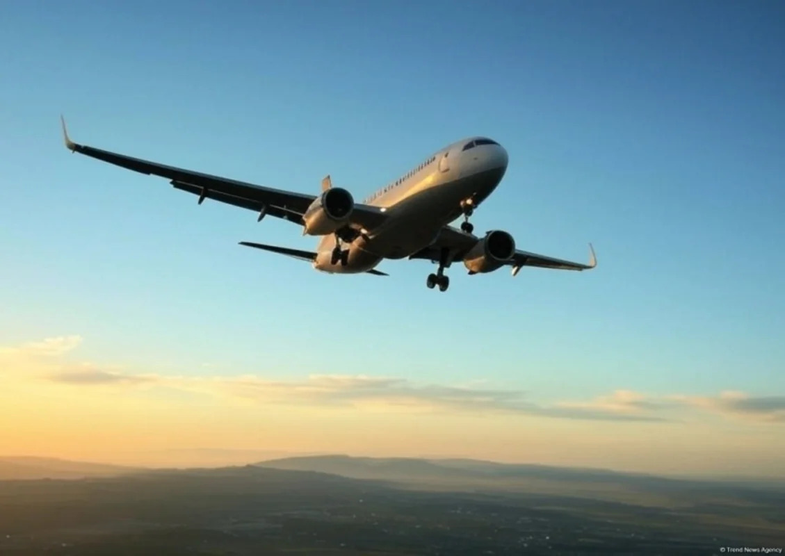 Ирак продлил закрытие воздушного пространства еще на трое суток