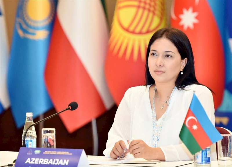 Кадровая пертурбация