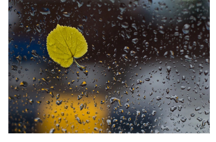 Завтра в регионах Азербайджана ожидаются осадки