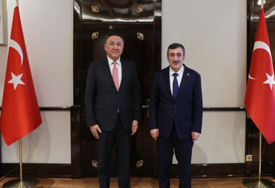 Вице-президент Турции - о &laquo;жизненной значимости&raquo; совместных действий стран ОТГ