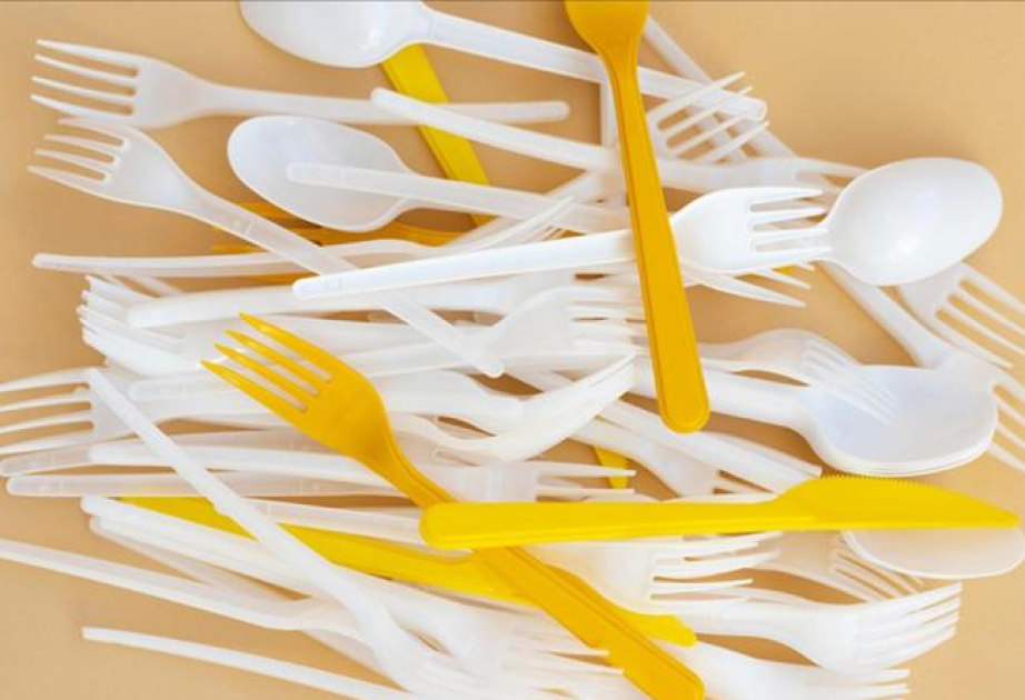 В Турции планируют ввести запрет на одноразовые изделия из пластика