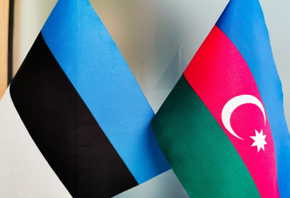 Парламент Эстонии осудил дроновую атаку на Нахчыван