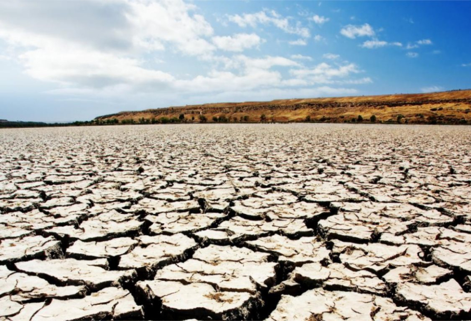 ООН предупреждает о масштабной деградации земель и росте химического загрязнения