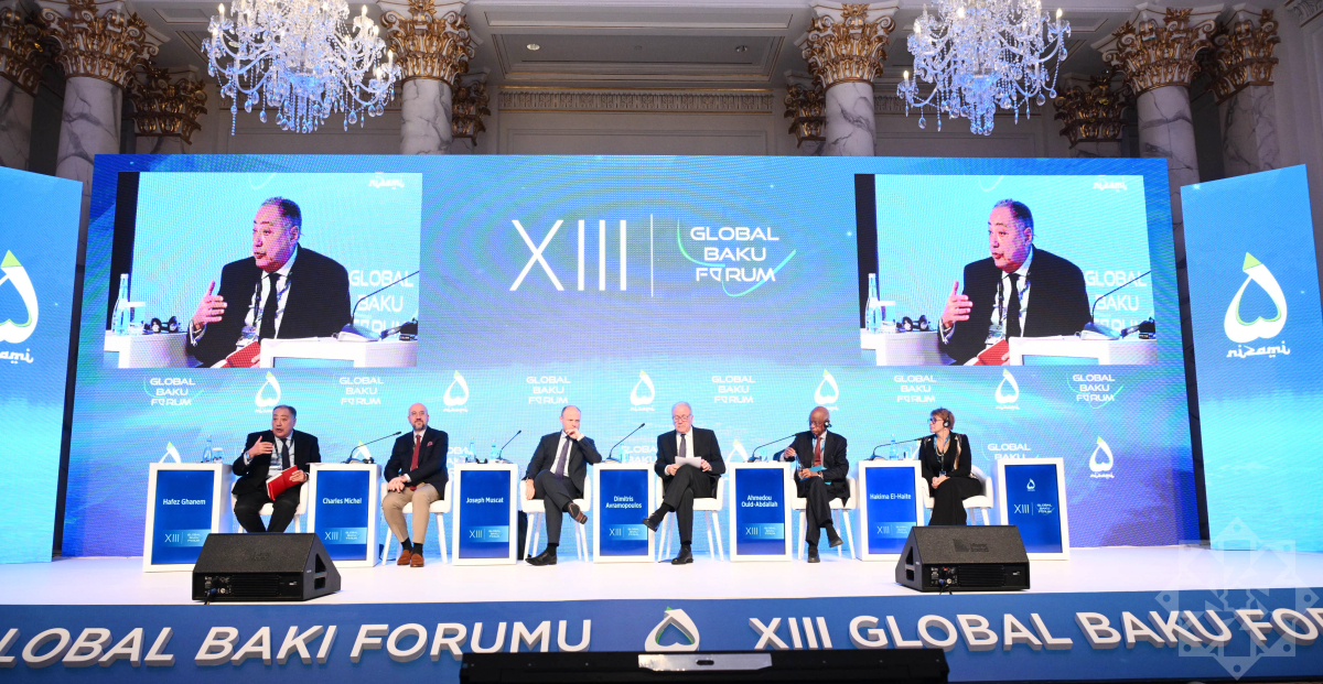 Панельное заседание &laquo;Африка сегодня и завтра&raquo;