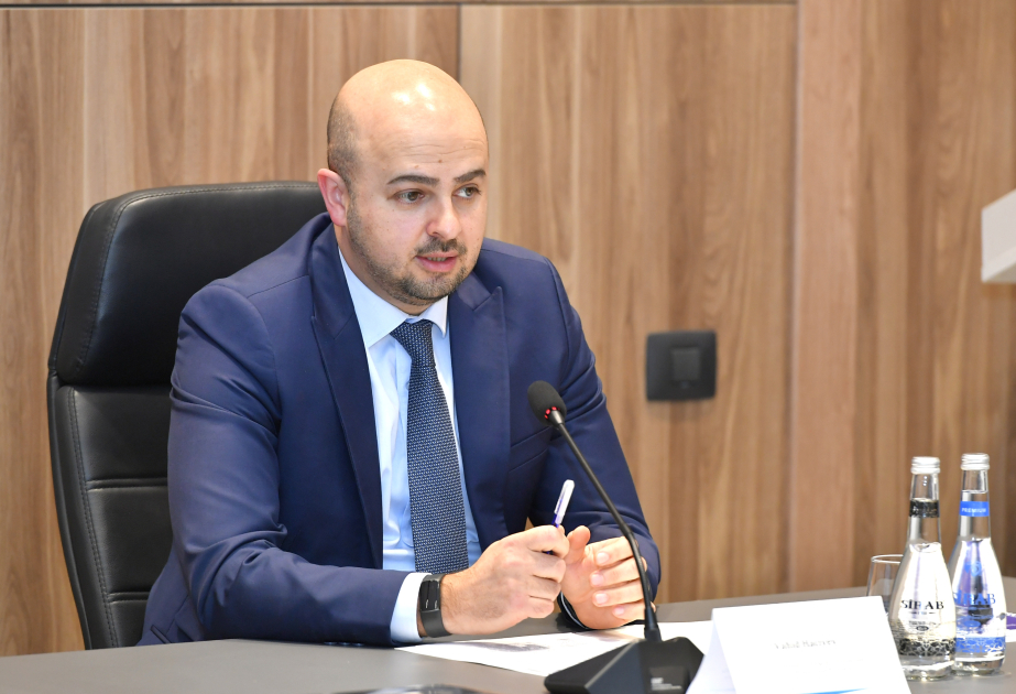 Спецпредставитель: Предлагаем проводить экспертизу зеленых насаждений при выделении земельных участков