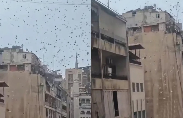 Израильские ВВС сбросили десятки тысяч листовок на Бейрут