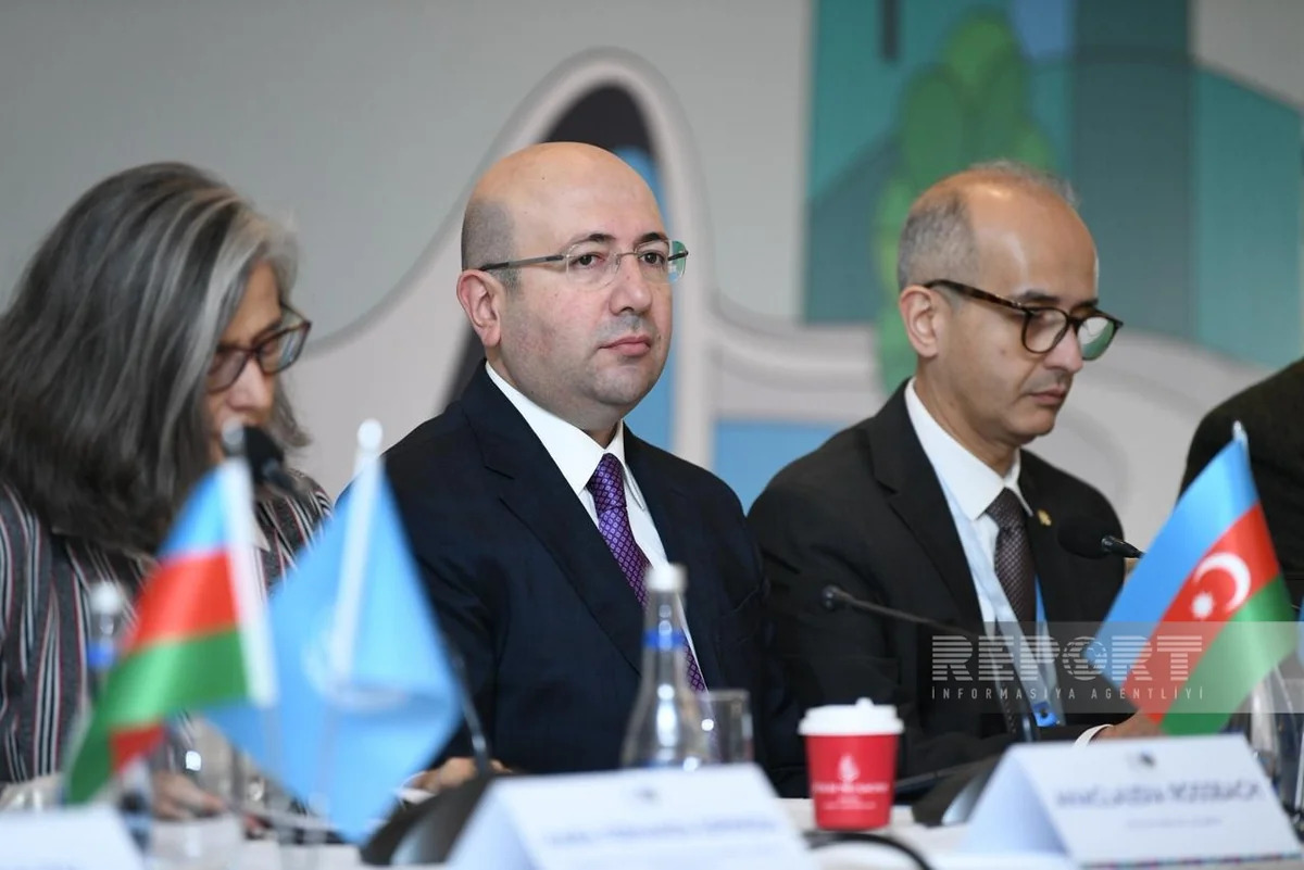 Анар Гулиев: На данный момент на WUF13 зарегистрировано около 15 тыс. участников