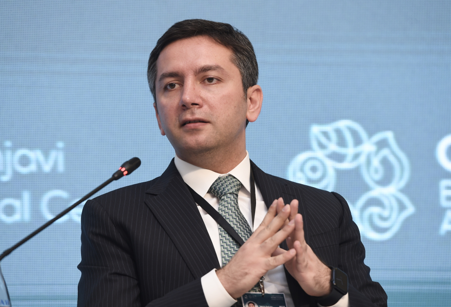 Ялчын Рафиев: Азербайджан поддержит Турцию в успешном проведении COP31