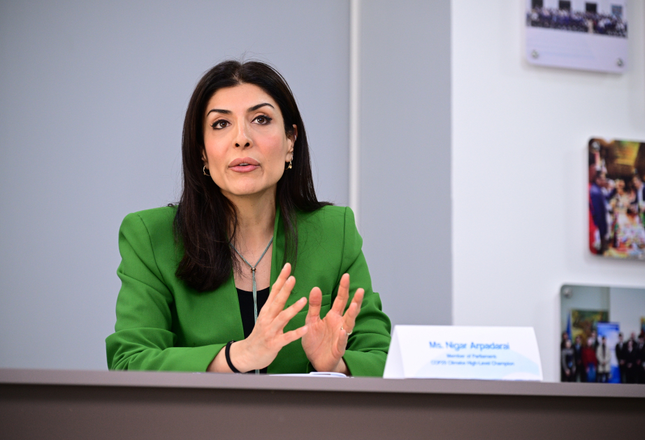 Нигяр Арпадараи: В эпоху искусственного интеллекта и изменения климата деятельность молодежи приобретает еще большее значение