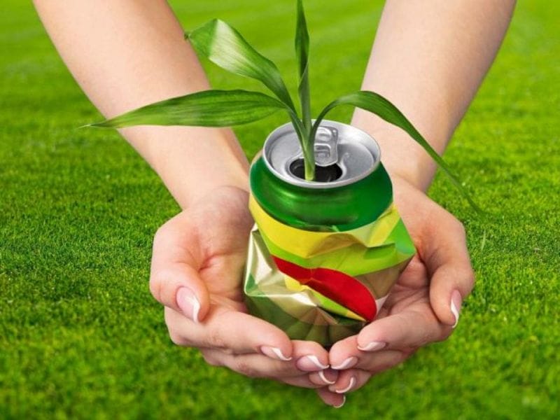 Мусор как актив