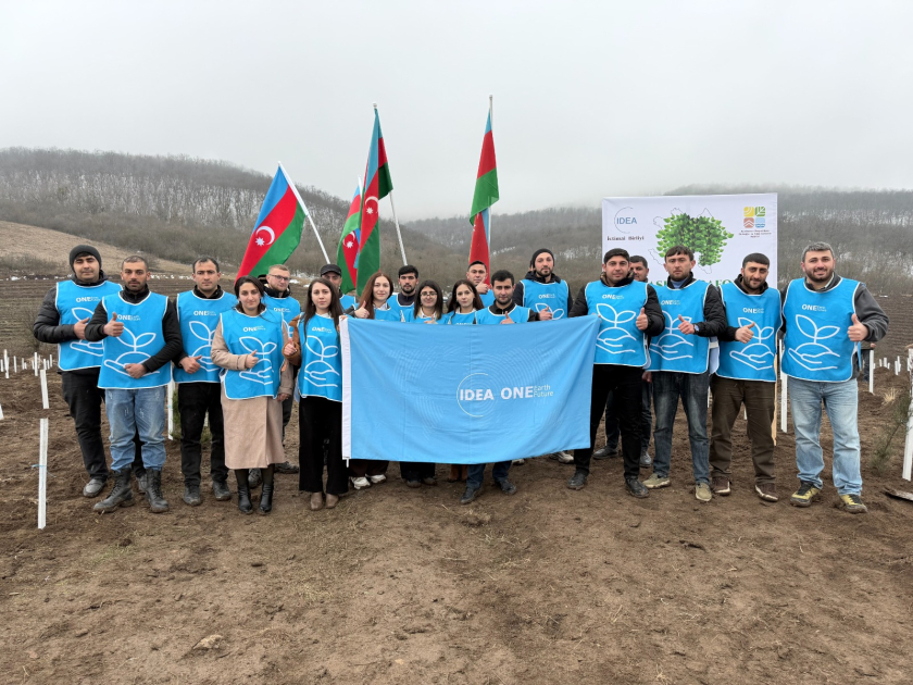 В Товузе и Гёранбое с участием волонтеров IDEA посажено более 2000 деревьев