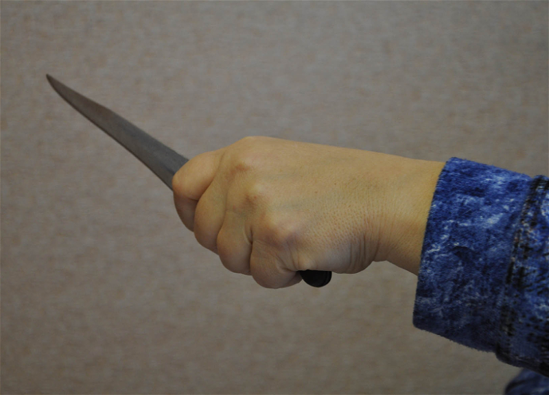 Вынесен приговор невестке, убившей свекровь 13 ударами ножа