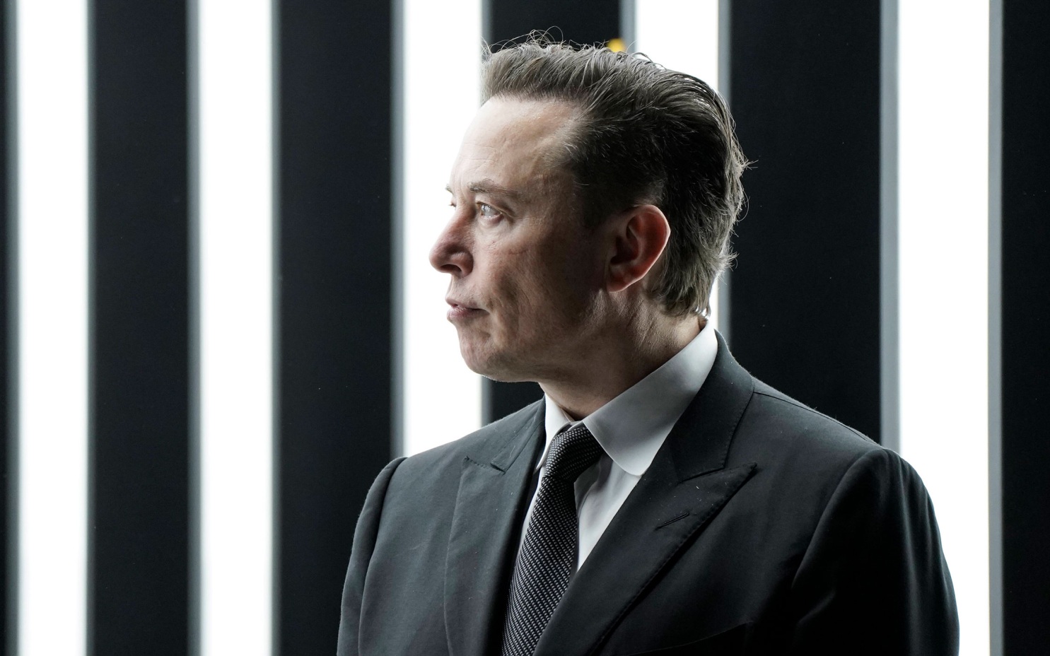 Маск рассказал о принципах иммиграционной политики США