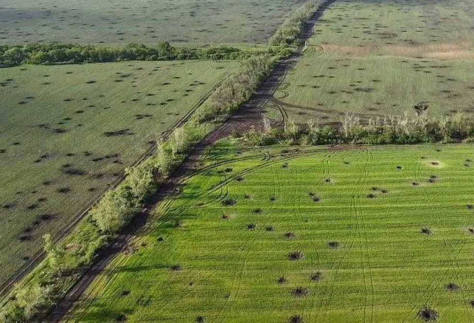 ФАО: Сельское хозяйство остается спасательным кругом для украинских семей