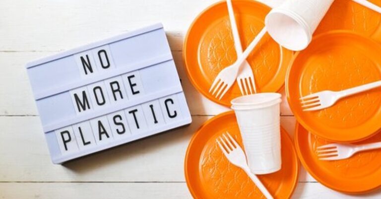 Пластик вне закона