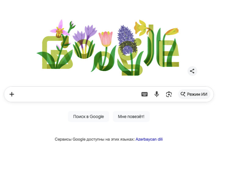 Google посвятил празднику Новруз &laquo;дудл&raquo; с цветком харыбюльбюль
