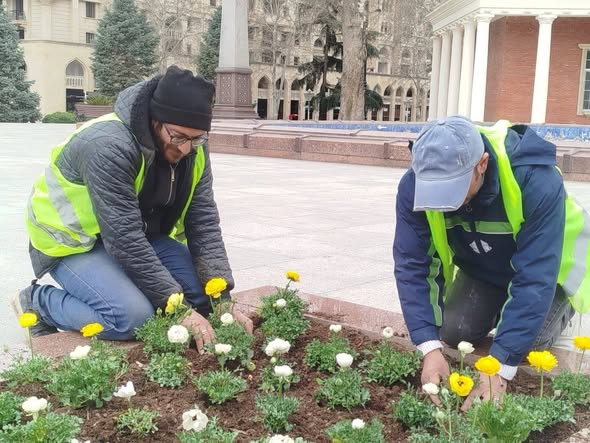 Весеннее преображение Гянджи