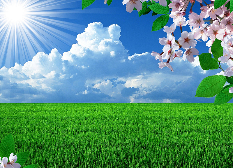 Какой будет погода в Баку в праздничный день 21 марта?