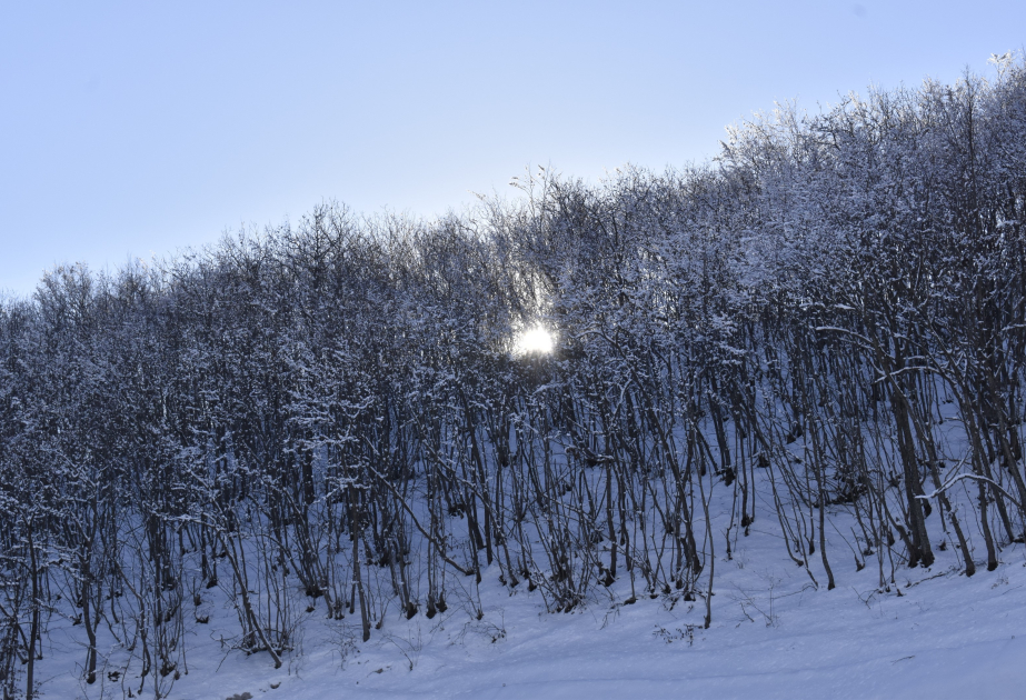 В некоторых местах страны наблюдалась дождливая погода, в Шахдаге выпал снег