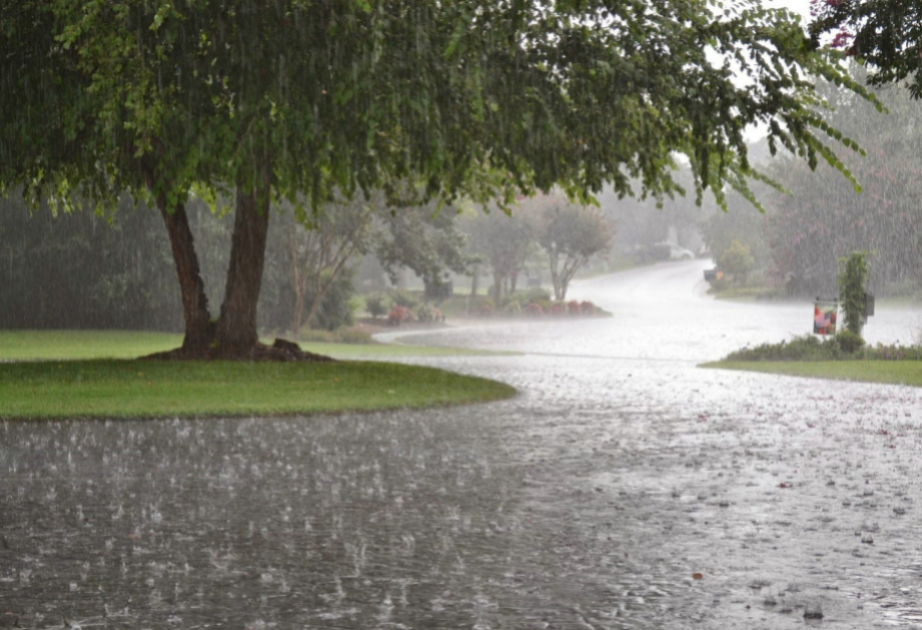 В некоторых регионах ожидаются дожди и грозы - прогноз погоды на завтра