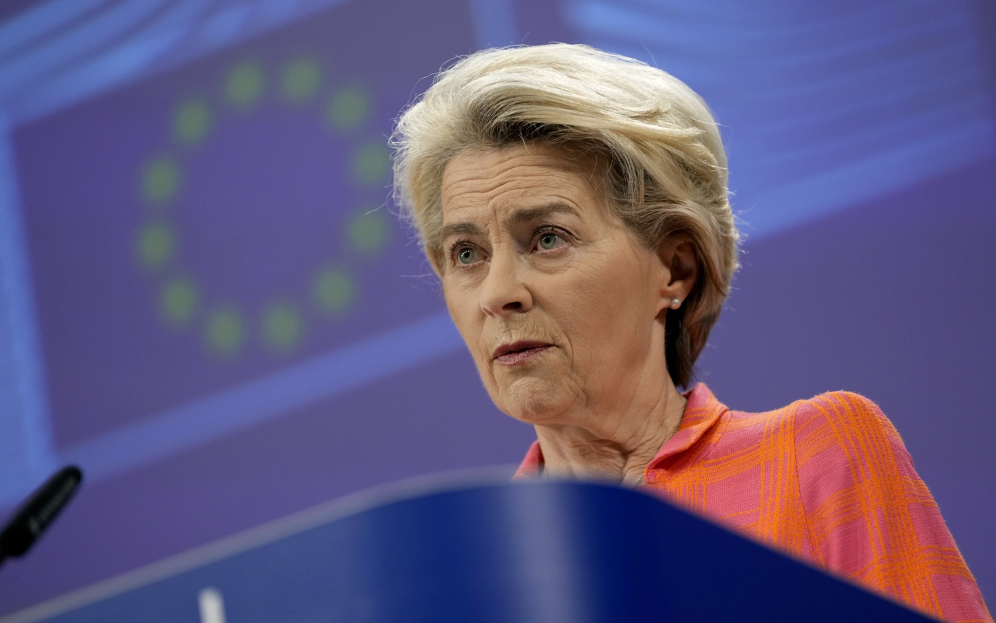 Главе ЕК предложили отапливать дом хворостом после заявления о запрете газа РФ