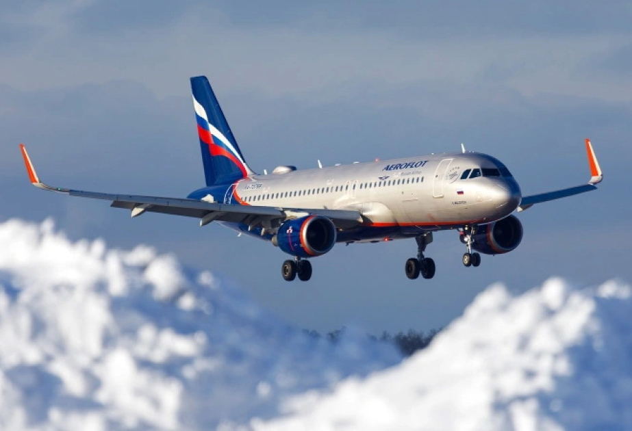 Рейс Москва-Баку вернулся из-за птицы