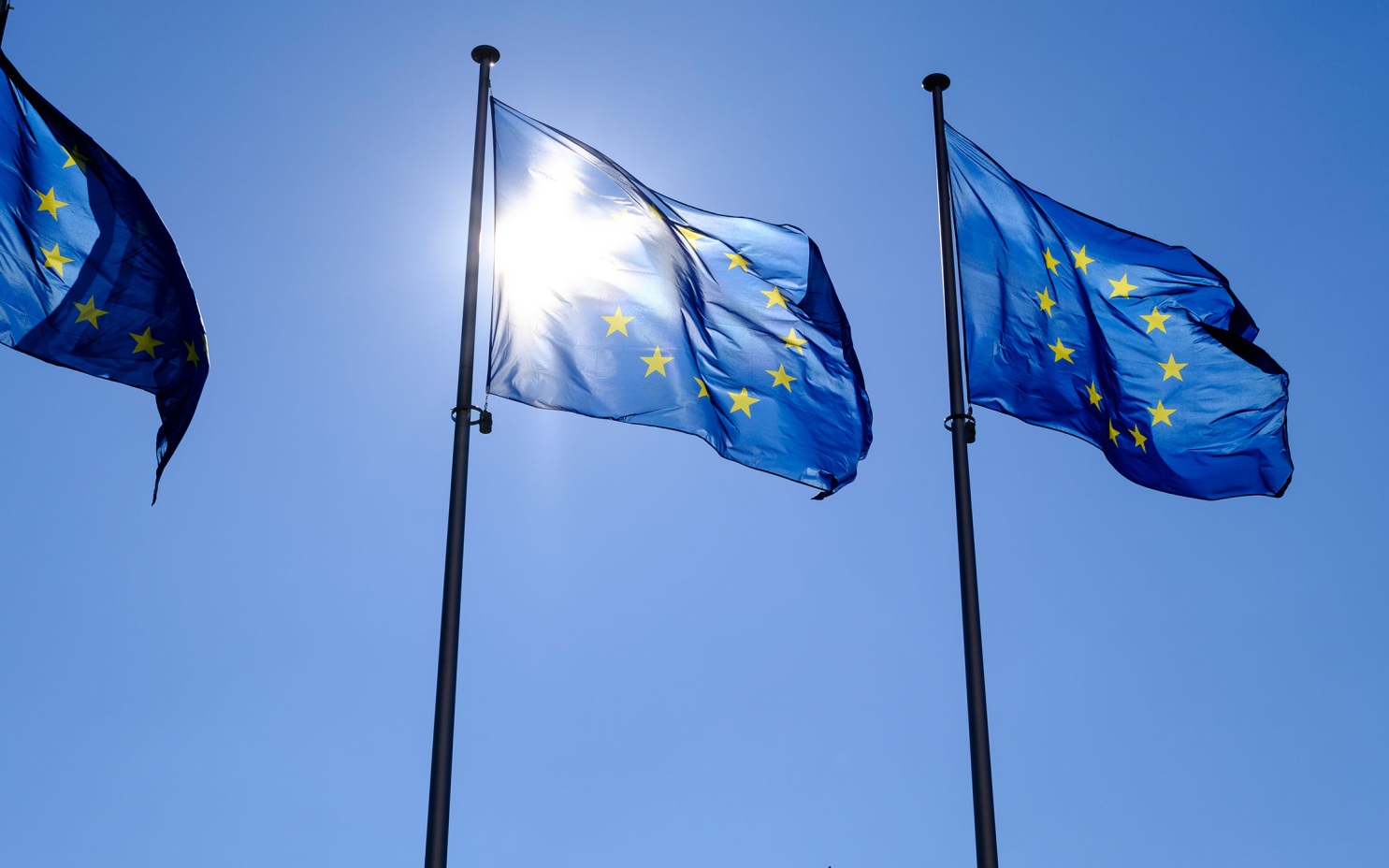 В Германии заявили о "логике мафии" в ЕС