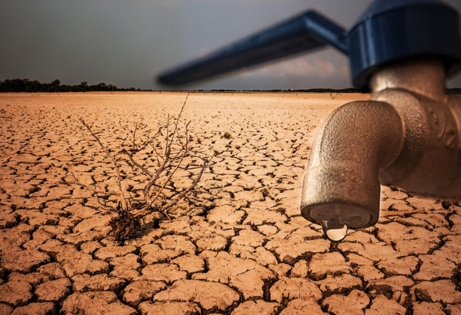 Земля поглощает рекордное количество тепла: обзор публикации Euractiv