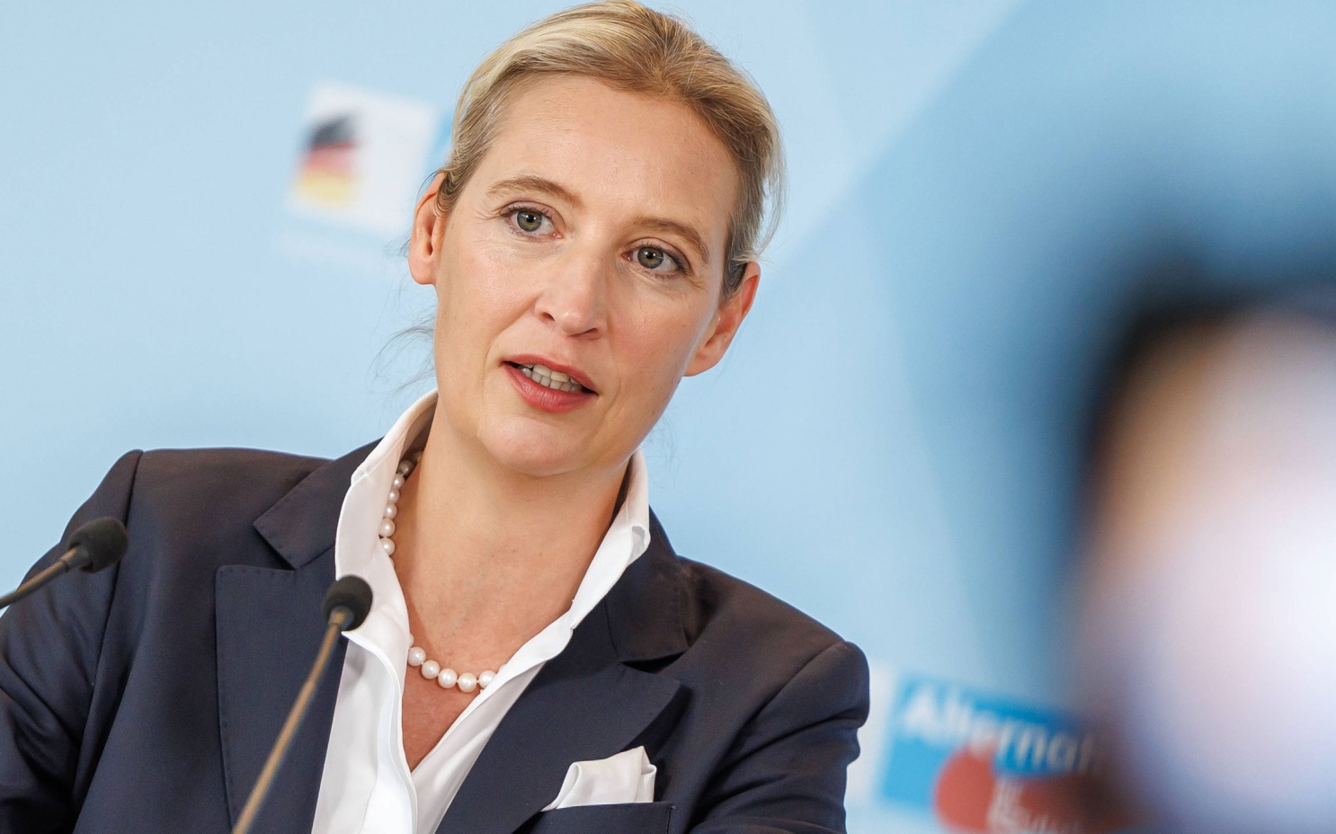 Сопредседатель АдГ Вайдель выступила против кредитов для Украины