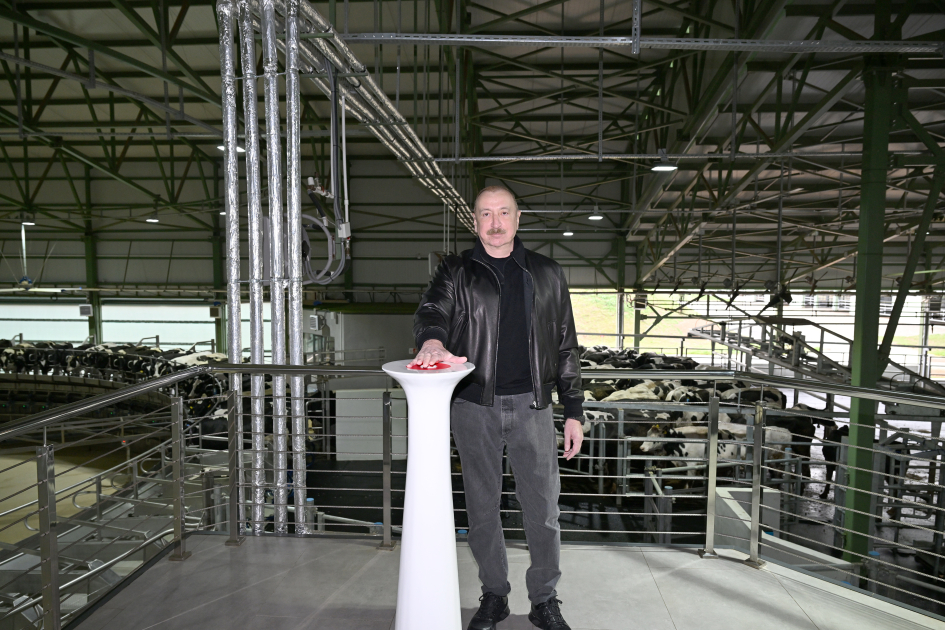 Знаковый ренессанс