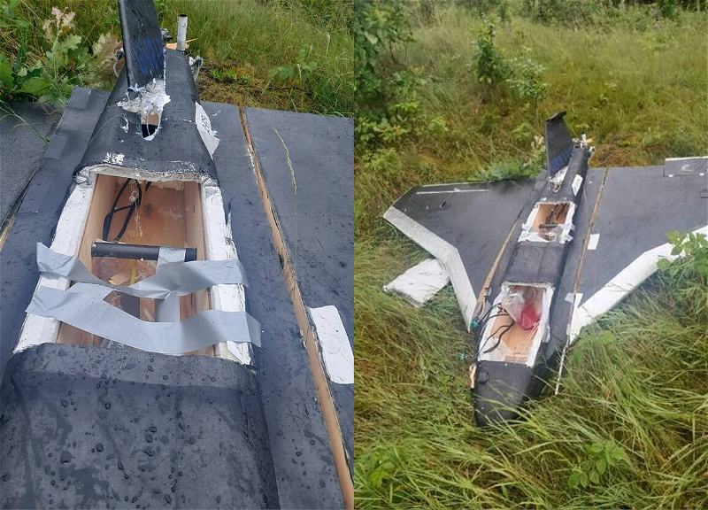 В Литве упал украинский военный дрон