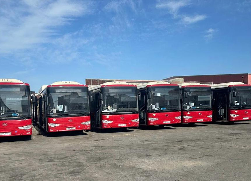 В Баку изменится схема движения автобусов по ряду маршрутов