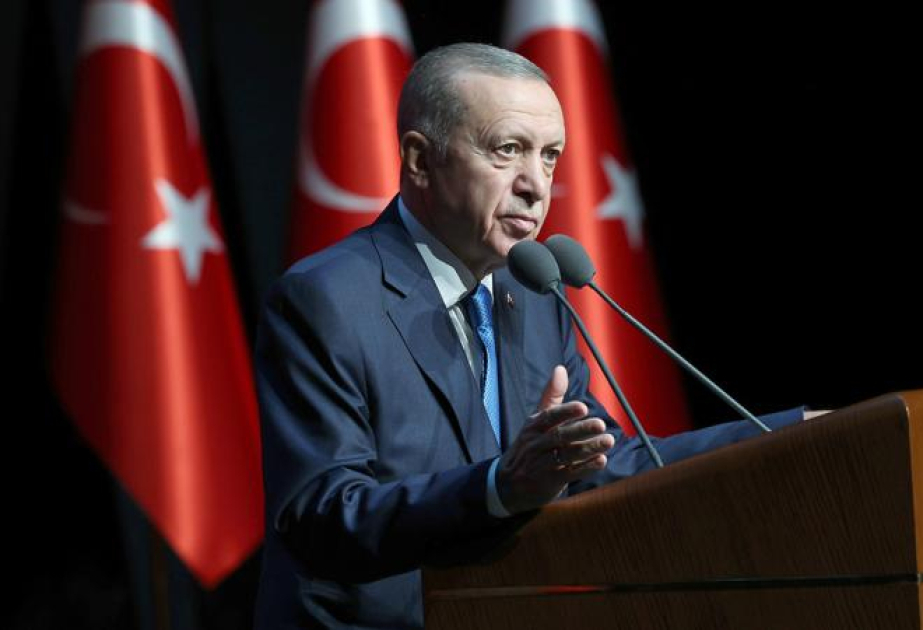 Президент Эрдоган: Не допустим вовлечения Турции в полосу эскалации
