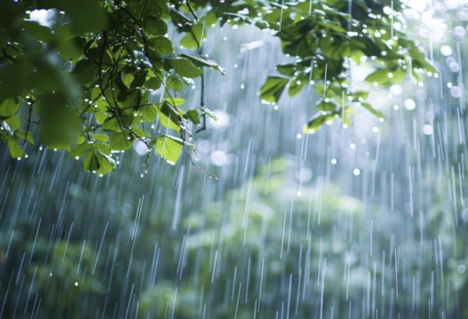 Завтра в Баку и на Абшероне ожидаются дожди, местами интенсивные