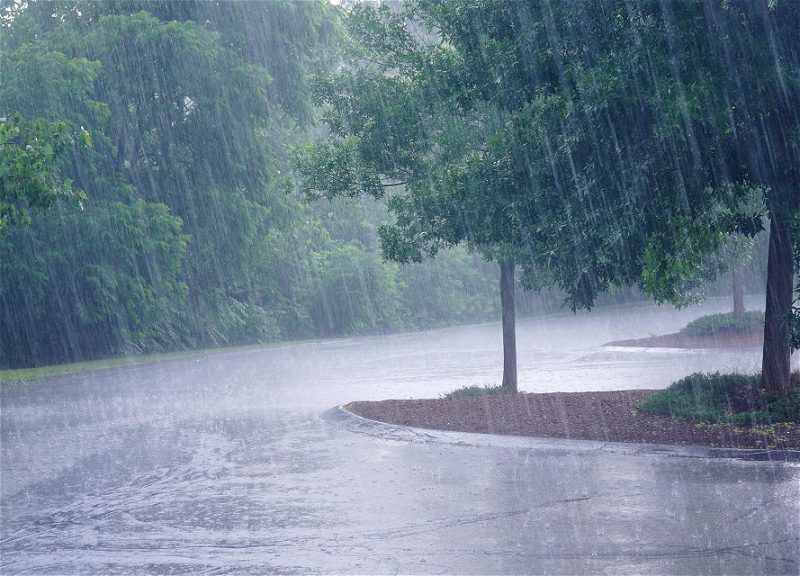 В Баку и на Абшероне выпало 440% месячной нормы осадков