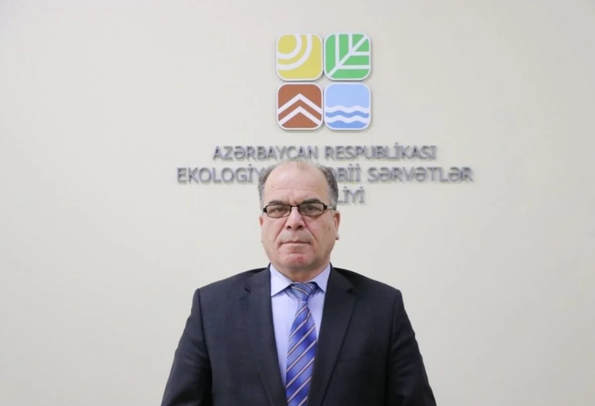 Али Алиев: Сильные дожди в Азербайджане не повлияли на активность оползней