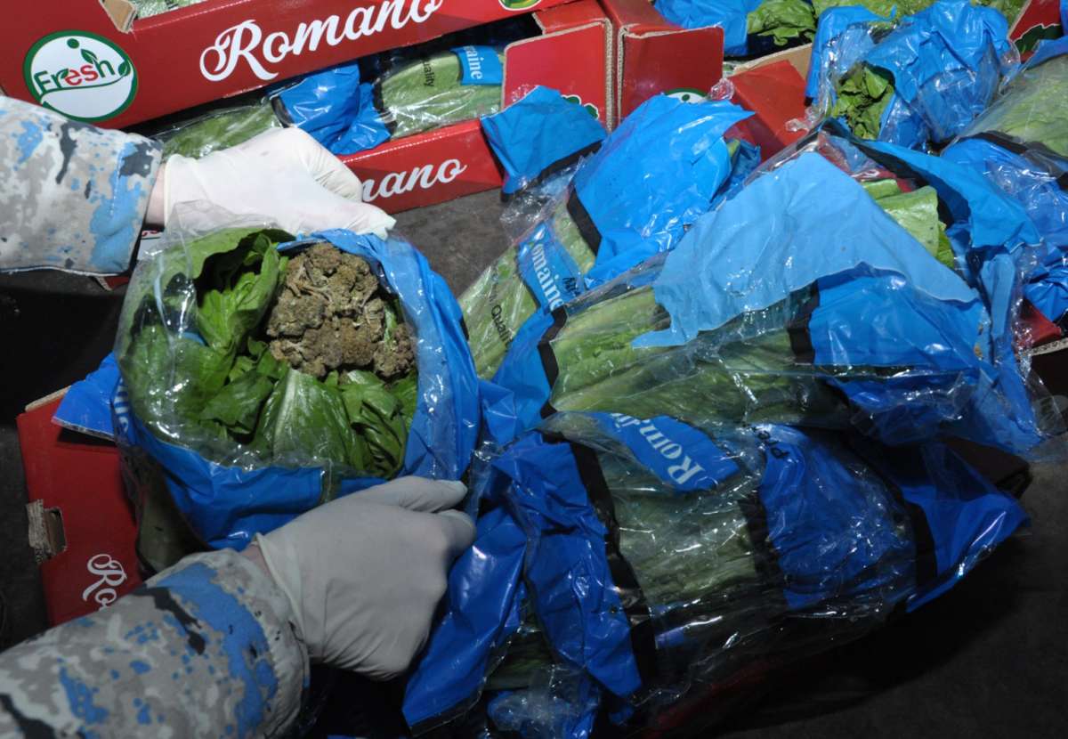 На таможенном посту &laquo;Билясувар&raquo; обнаружили капусту с иранским &laquo;сюрпризом&raquo;