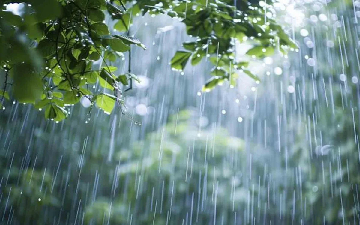 В регионах Азербайджана завтра ожидаются дожди и снег